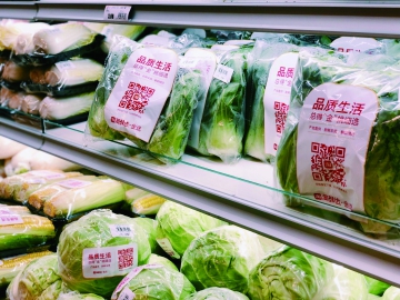 如何讓包裝“綠”起來？